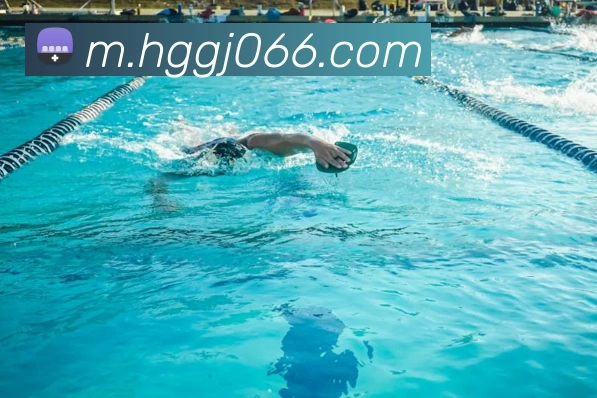 皇冠国际hg平台生态图