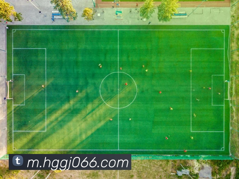 皇冠国际hgAPP 封面图