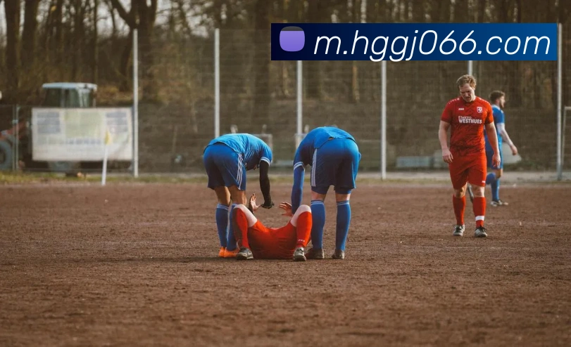 数据防护可视化